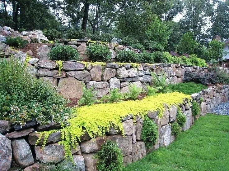 Rock Walls Rock Walls