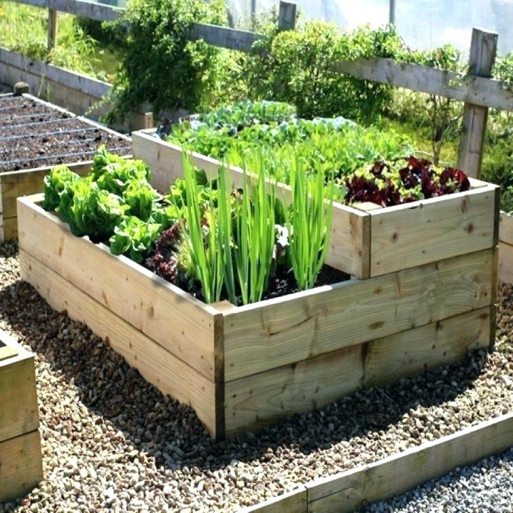 Vegetables In A Planter Box
